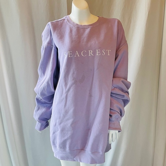 Comfort Colors Purple Seacrest Crewneck - Picture 2 of 3